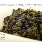 Taiwan Shan Lin Xi Oolong Tea from Nuvola Tea