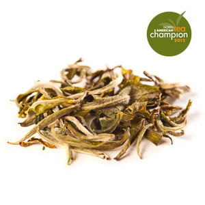 Sandakphu Spring White Tea from Rare Tea Republic 