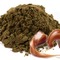 Caramel Matcha (Black Matcha Base) from Red Leaf Tea