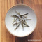 Doke Organic Silver Needle Second Flush from driftwood tea