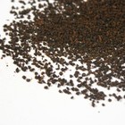 Assam Numalighur Second Flush CTC BOP from Zen Tea