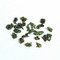 Huang Jin Gui from Canton Tea Co
