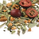 Cranberry Acai - herb from Zen Tea