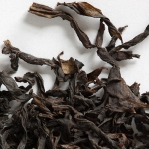 Da Hong Pao 1997 from Camellia Sinensis