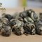 Jasmine Pearls (Whole Leaf Silky Pyramids) from Twinings