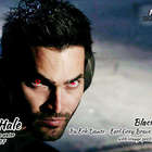Derek Hale Blend from Adagio Teas