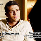 Jackson Whittemore Blend from Adagio Teas