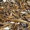 Yunnan Golden Strand Jinggu Spring 2011 from Stone Leaf Teahouse