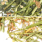 Shikaicha - Signature Blend from Custom-Adagio Teas