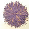 Black Peony from Art of Tea