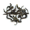 Wenshan Baozhong from Far Leaves Tea