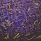 Himalayan Quest from Art of Tea