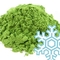 Wintergreen Matcha from Red Leaf Tea