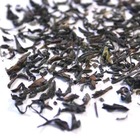 Darjeeling TGFOP1 Margaret's Hope S.F. from ZenTea