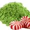 Peppermint Matcha from Red Leaf Tea