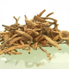 Golden Pu-erh - Limited from Art of Tea