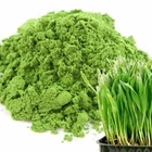 Wheatgrass Matcha from Red Leaf Tea