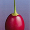 Tamarillo & Kamahi Honey from Healtheries