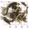 Castleton Estate 2nd Flush FTGFOP1 Clonal Tippy from Upton Tea Imports