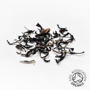 Organic Arya Diamond Second Flush Darjeeling from Canton Tea Co