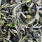 Fu Ding Bai Mu Dan from jing tea shop