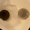 Mossy Cave Pu-erh Cups from Whispering Pines Tea Company