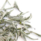 Silver Needle from California Tea House