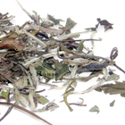 White Peony from California Tea House