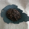 High Country from Trail Lodge Tea