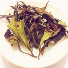 Hawaii Forest White from Canton Tea Co