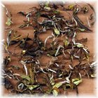 Darjeeling Fancy Oolong with Velvet Buds Singell from Kolodziej and Lieder