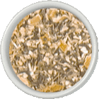 Orange Echinacea from Tealuxe