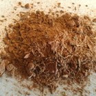 Xocolatl from Bird's Eye Tea