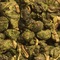 Golden Lily from Whispering Pines Tea Company