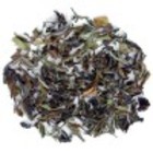 Pai Mu Tan from Ann Arbor TeaHaus