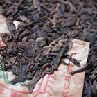 1996 Wild Picked Mengku Sheng Pu'er from Verdant Tea