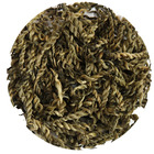 Golden Spike EC09-1 from Nothing But Tea