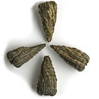 Jade Bamboo from Nothing But Tea
