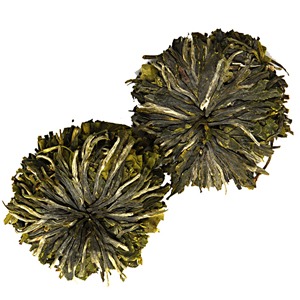 Green Anemone from Nothing But Tea