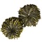 Green Anemone from Nothing But Tea