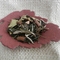 Eggnog from Trail Lodge Tea