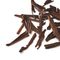Hojicha from Jing Tea
