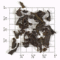 Kirkoswald Estate Ceylon Pekoe (TC29) from Upton Tea Imports