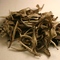White Leaf and Bud Single Estate White Tea from Teajo Teas