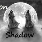 Moon Shadow from Custom-Adagio Teas