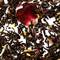Victorian Earl Grey from Perennial Tea Room