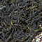 Organic Emerald Spring from Intelligentsia