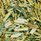 Organic Lemongrass from Groundwork