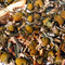 Chamomile Citrus from Fusion Teas