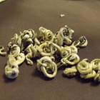 Hand Rolled Top-Grade Jasmine from Verdant Tea